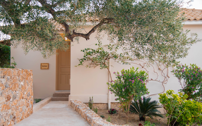 sunrise olive cottage